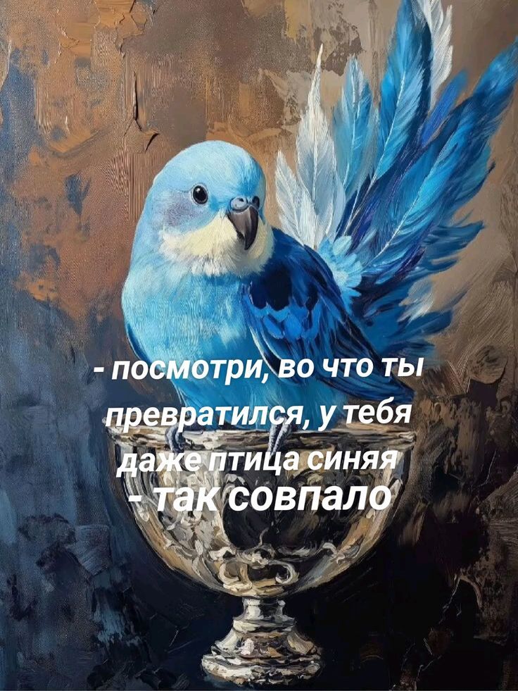 - посмотри, во что ты превратился, у тебя даже птица синяя – так совпало