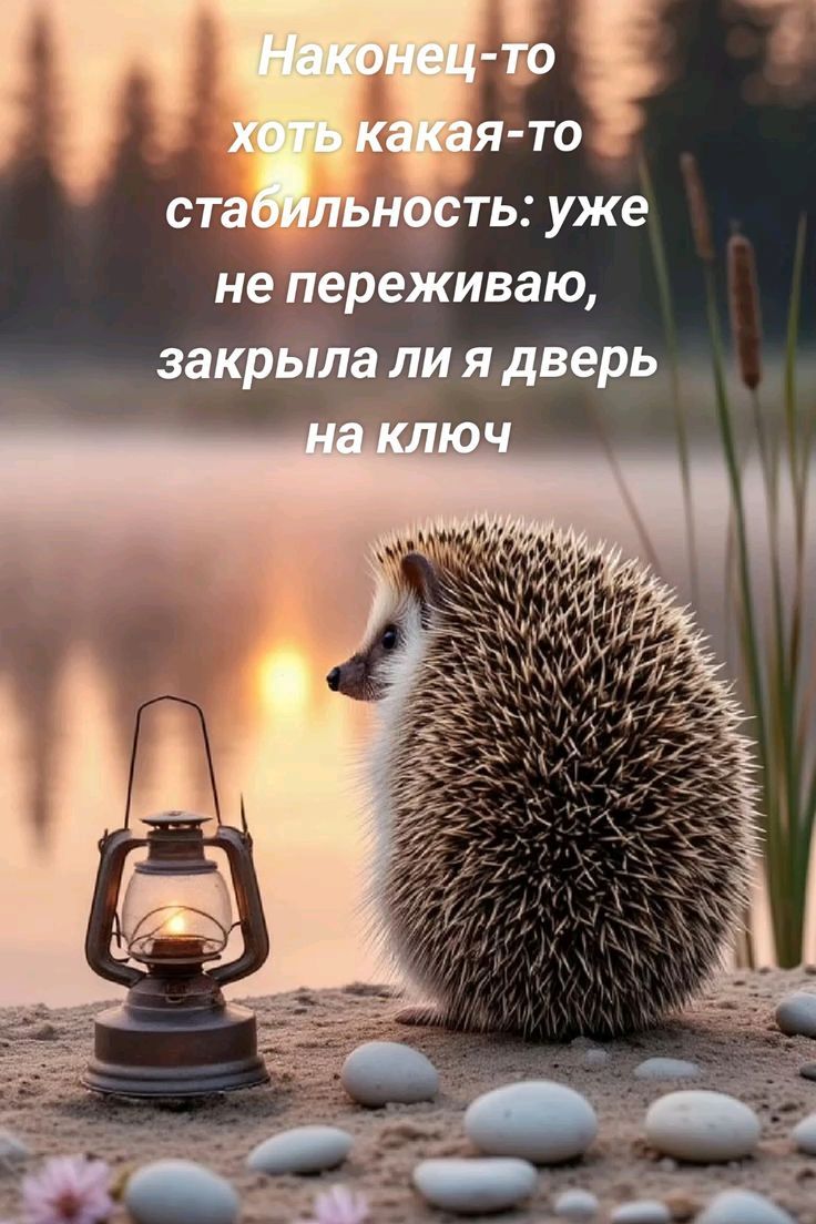Наконец-то хоть какая-то стабильность: уже не переживаю, закрыла ли я дверь на ключ