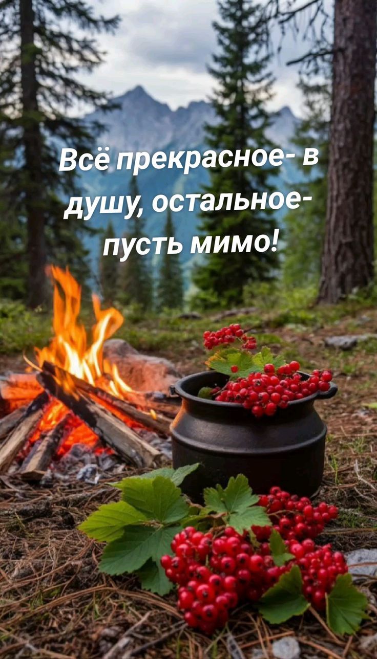 Всё прекрасное - в душу, остальное - пусть мимо!