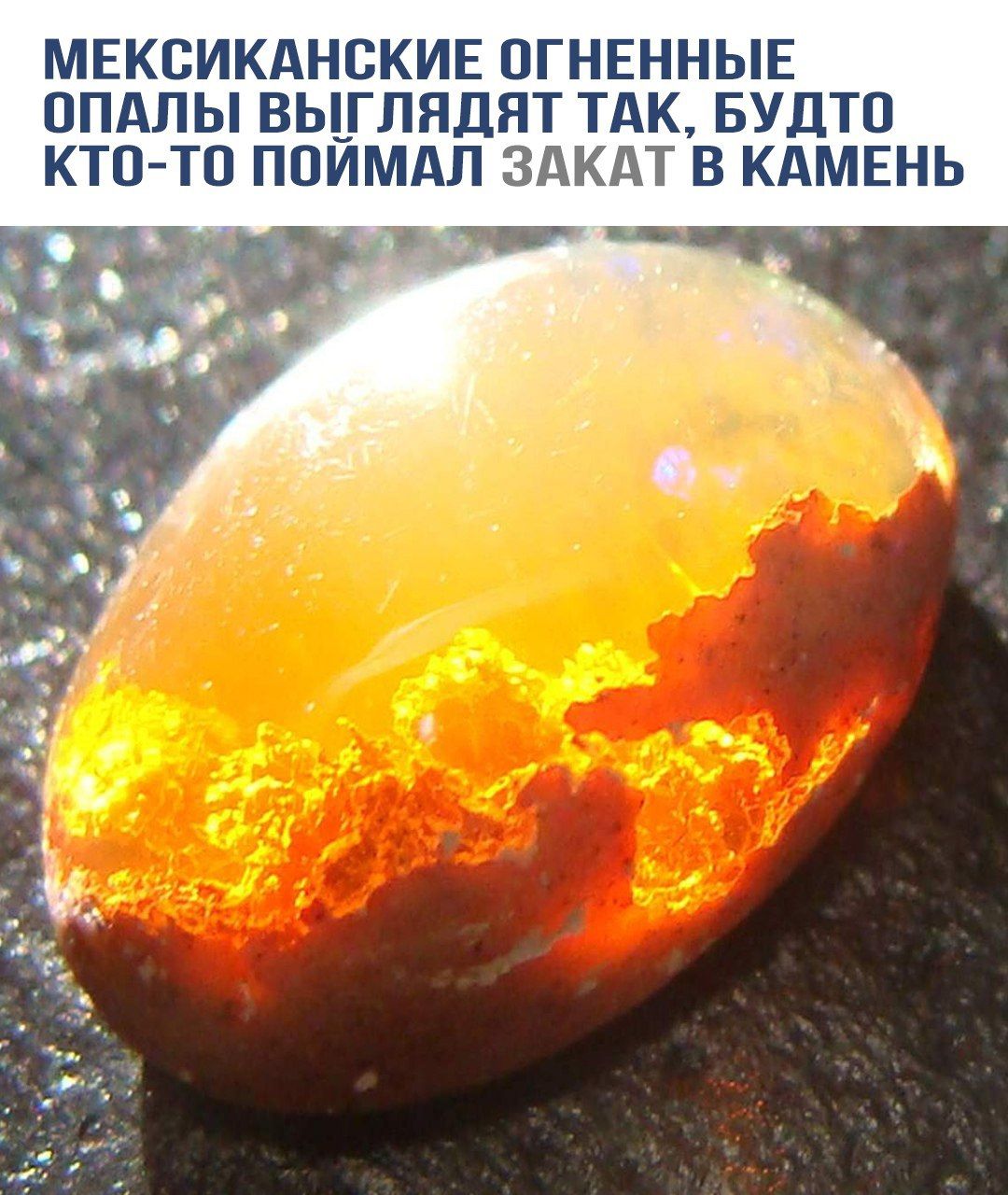 МЕКСИКАНСКИЕ ОГНЕННЫЕ ОПАЛЫ ВЫГЛЯДЯТ ТАК, БУДТО КТО-ТО ПОЙМАЛ ЗАКАТ В КАМЕНЬ