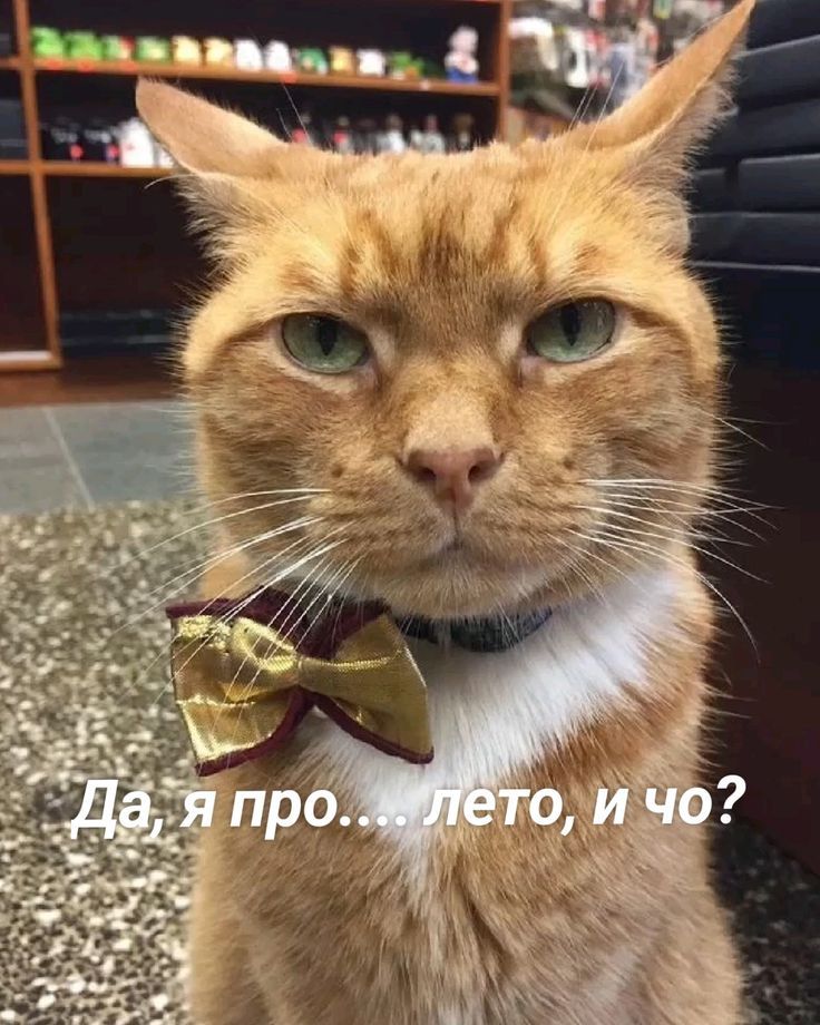 Да, я про.... лето, и что?