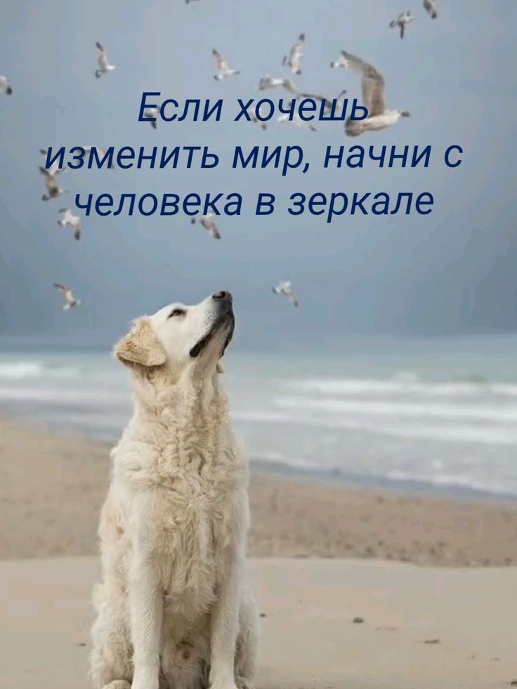 Если хочешь изменить мир, начни с человека в зеркале