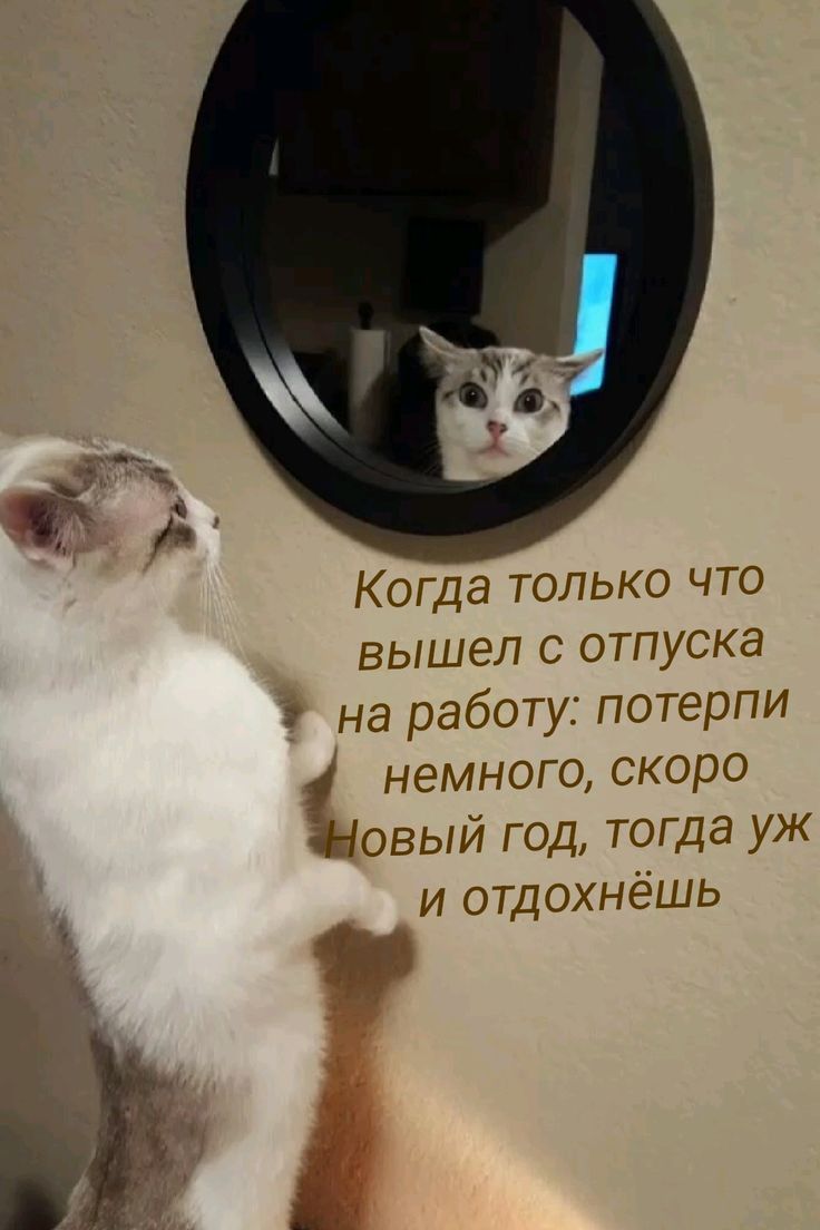 Когда только что вышел с отпуска на работу: потерпи немного, скоро Новый год, тогда уж и отдохнёшь