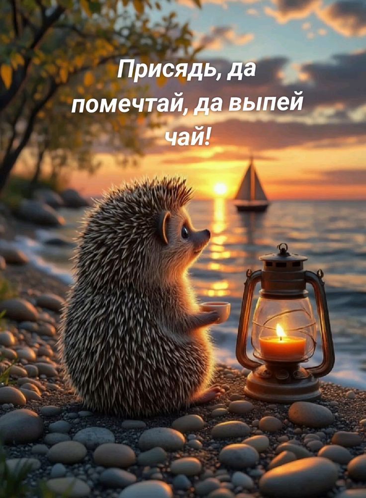 Присядь, да помечтай, да выпей чай!
