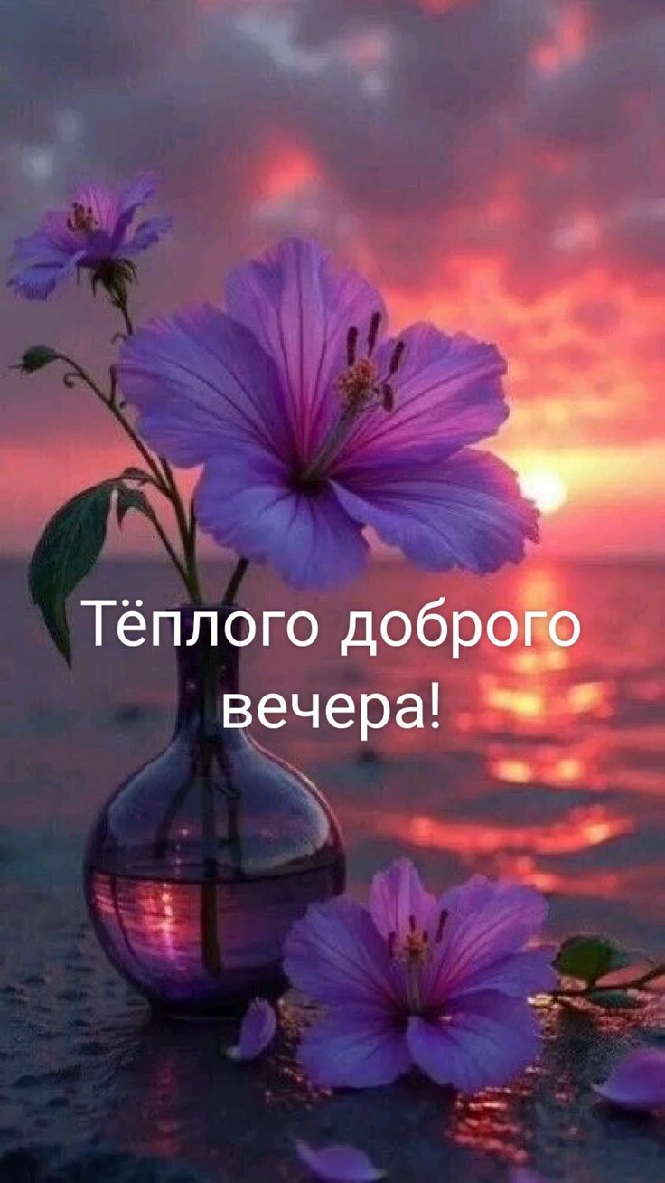 Тёплого доброго вечера!