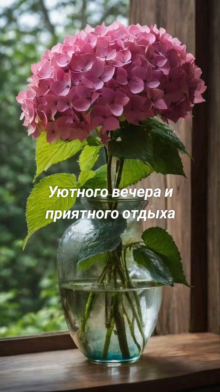 Уютного вечера и приятного отдыха