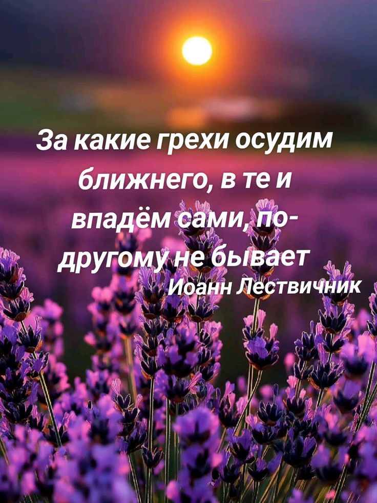 За какие грехи осудим ближнего, в те и впадём сами, по-другому не бывает
Иоанн Лествичник