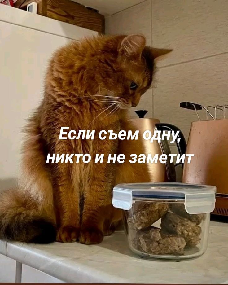 Если съем одну, никто не заметит