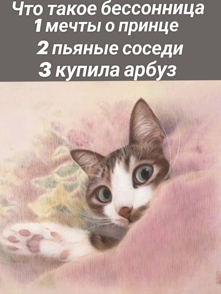 Что такое бессонница 1 мечты о принце 2 пьяные соседи 3 купила арбуз