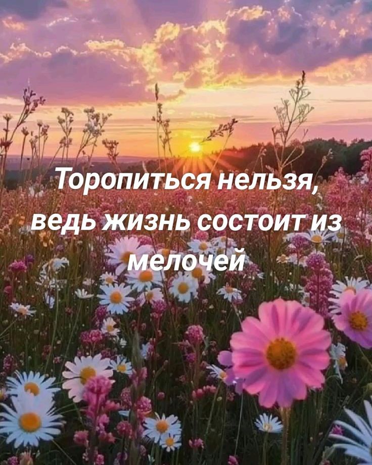 Торопиться нельзя, ведь жизнь состоит из мелочей