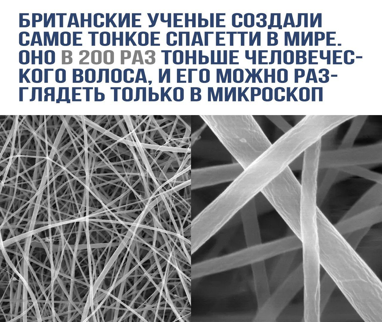БРИТАНСКИЕ УЧЕНЫЕ СОЗДАЛИ САМОЕ ТОНКОЕ СПАГЕТТИ В МИРЕ. ОНО В 200 РАЗ ТОНЬШЕ ЧЕЛОВЕЧЕСКОГО ВОЛОСА, И ЕГО МОЖНО РАЗГЛЯДЕТЬ ТОЛЬКО В МИКРОСКОП.