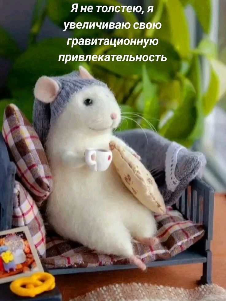 Я не толстейю, я увеличиваю свою гравитационную привлекательность