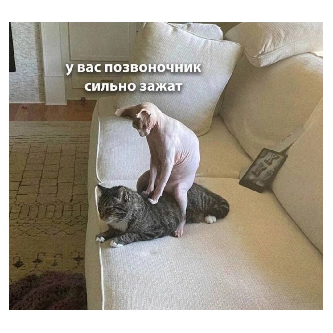 у вас позвоночник сильно зажат