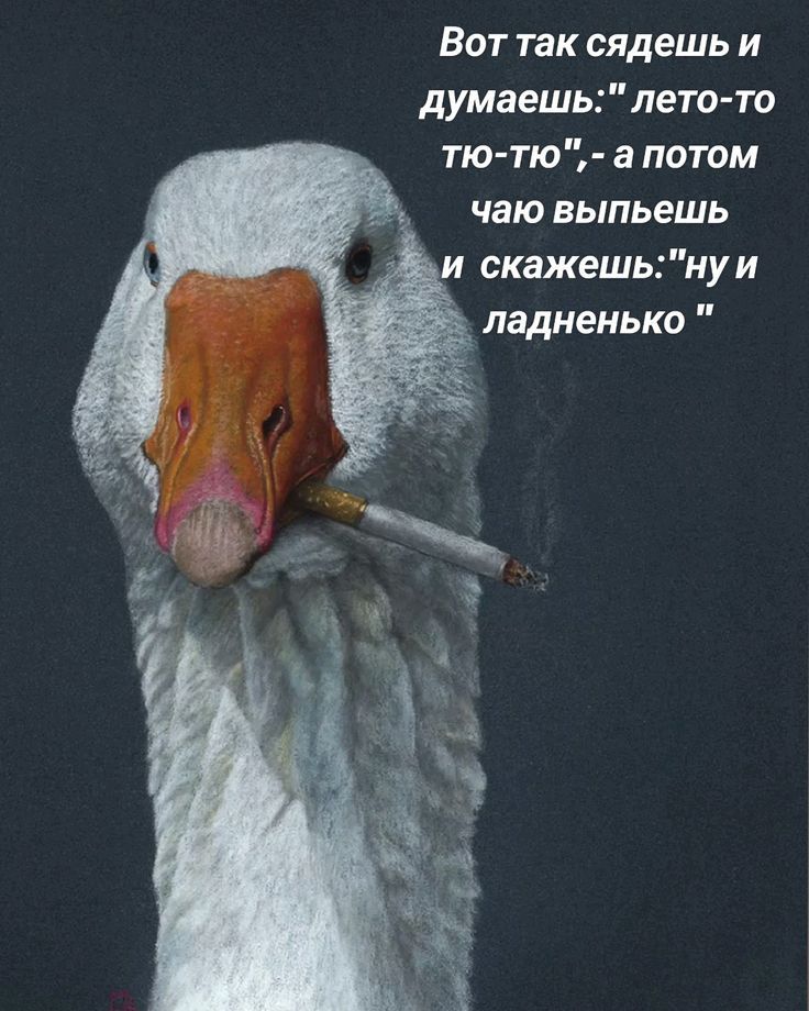 Вот так сидишь и думаешь: