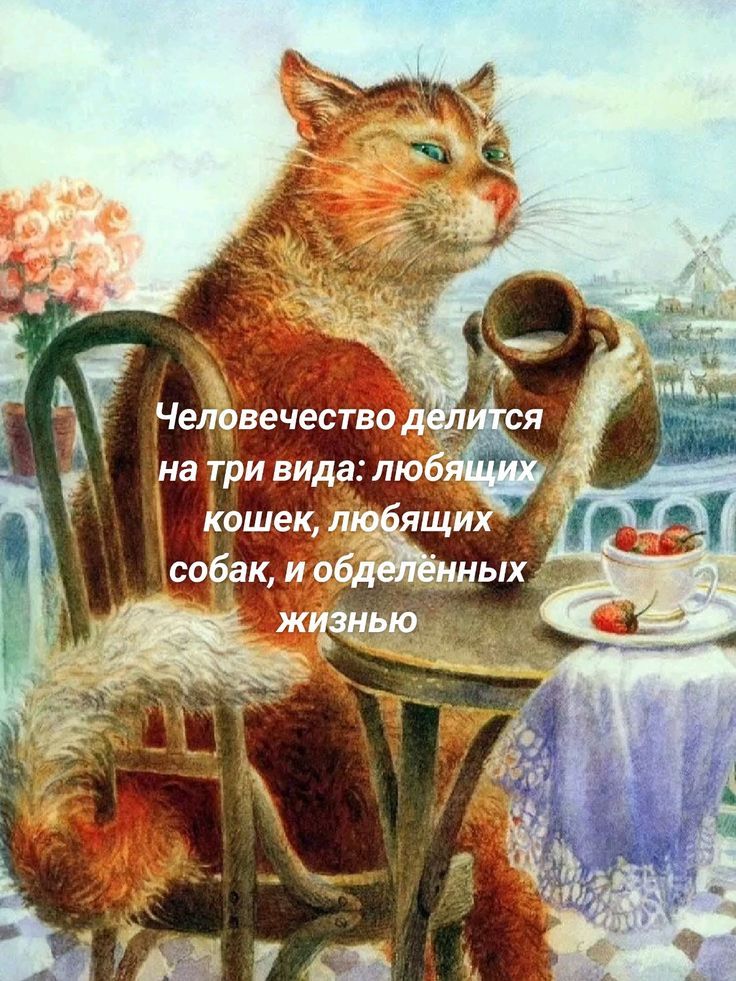 Человечество делится на три вида: любящих кошек, любящих собак, и обделённых жизнью