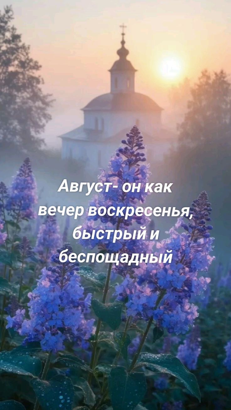 Август- он как вечер воскресенья, быстрый и беспощадный