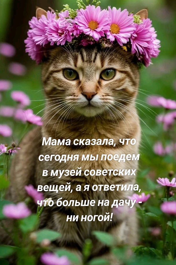 Мама сказала, что сегодня мы поедем в музей советских вещей, а я ответила, что больше на дачу - ни ногой!