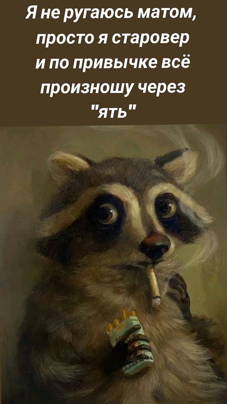 Я не ругаюсь матом, просто я старовер и по привычке всё произнесу через 