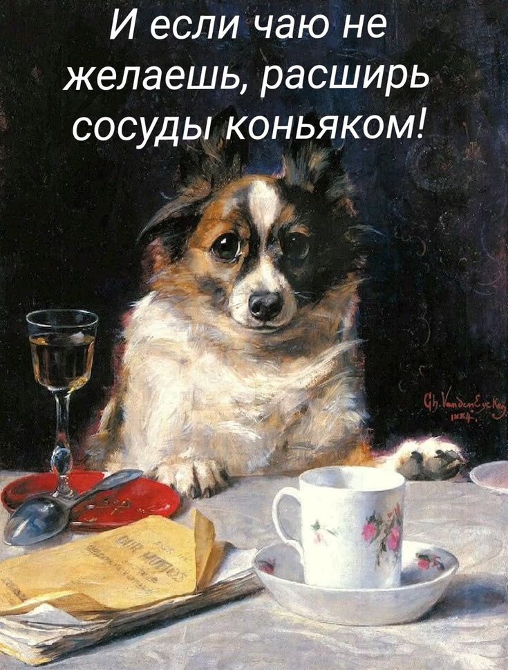 И если чаю не желаешь, расширь сосуды коньяком!