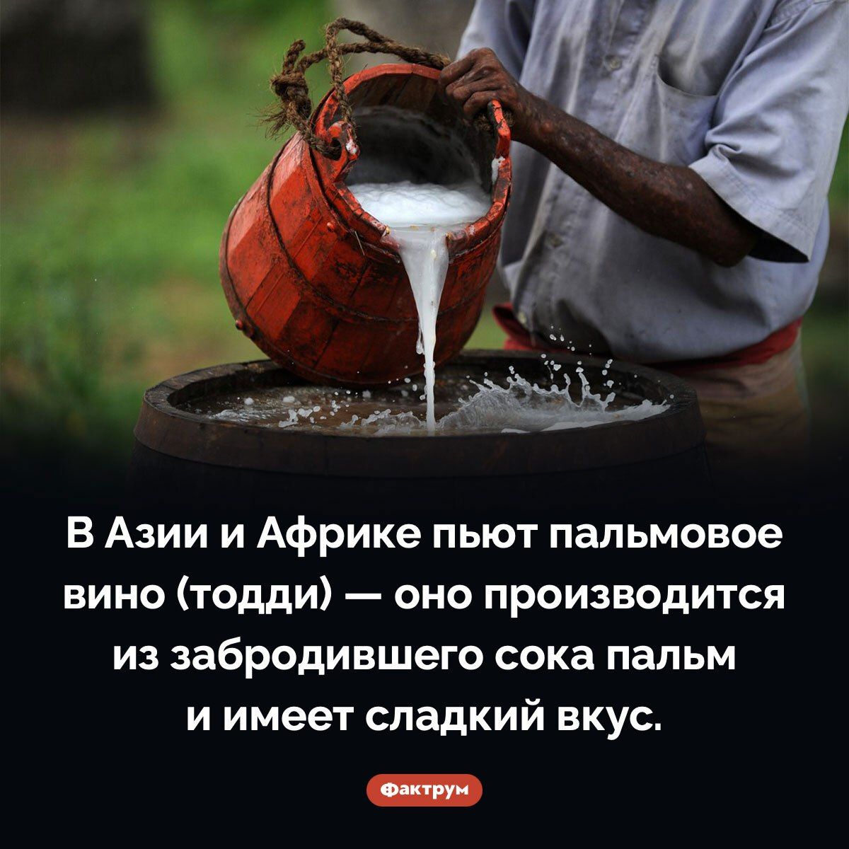 В Азии и Африке пьют пальмовое вино (тодди) — оно производится из забродившего сока пальм и имеет сладкий вкус.