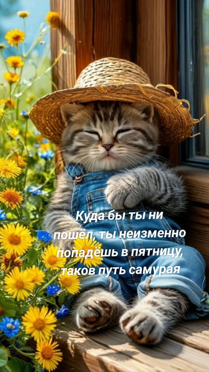 Куда бы ты ни пошел, ты неизменно попадешь в пятницу, таков путь самурая