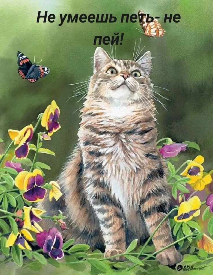 Не умеешь петь - не пой!