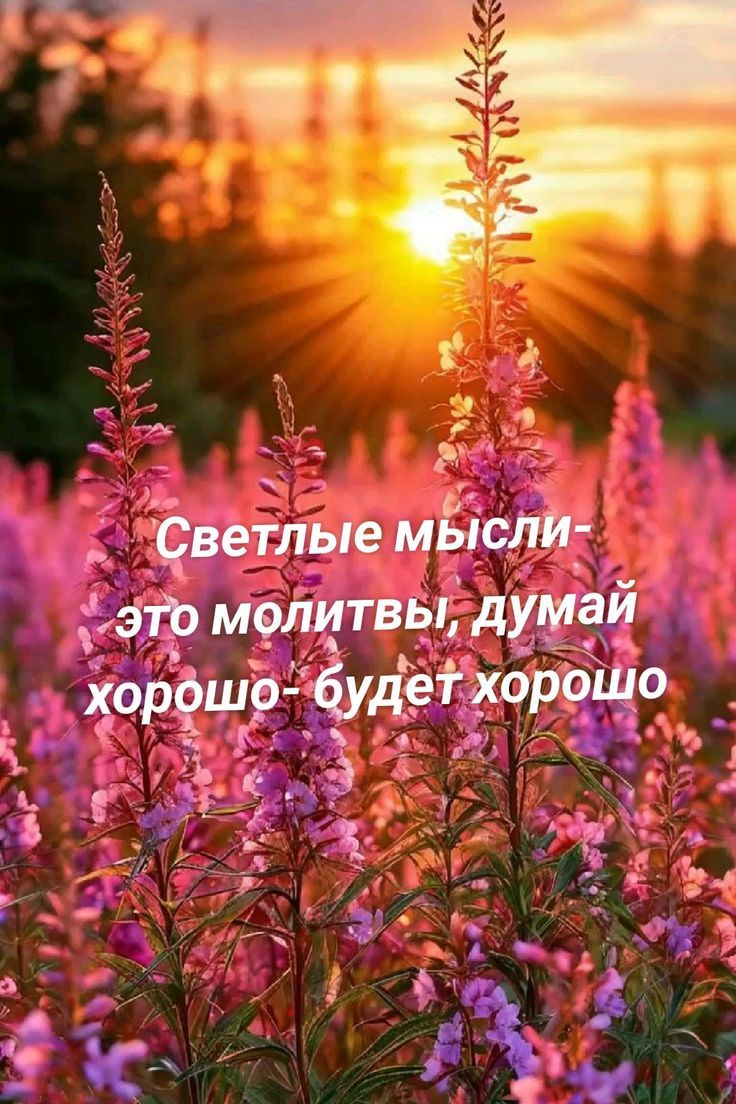 Светлые мысли- это молитвы, думай хорошо- будет хорошо