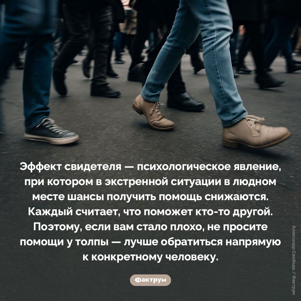 Эффект свидетеля — психологическое явление, при котором в экстренной ситуации в людном месте шансы получить помощь снижаются. Каждый считает, что поможет кто-то другой. Поэтому, если вам стало плохо, не просите помощи у толпы — лучше обратиться напрямую к конкретному человеку.