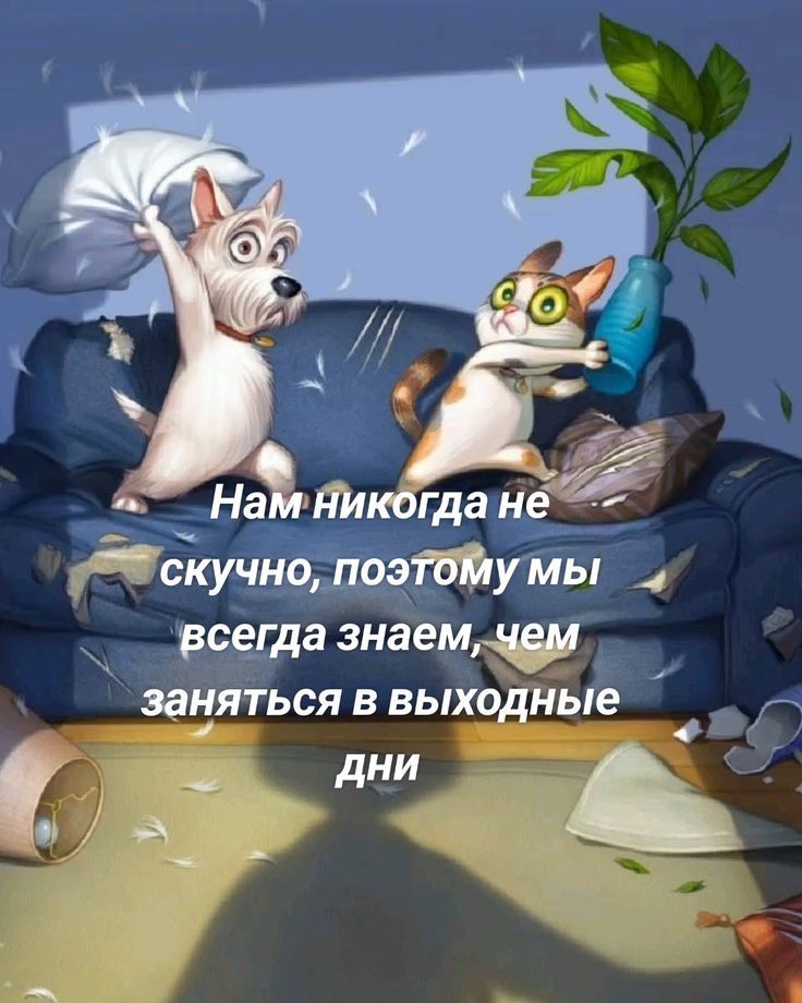 Нам никогда не скучно, поэтому мы всегда знаем, чем заняться в выходные дни