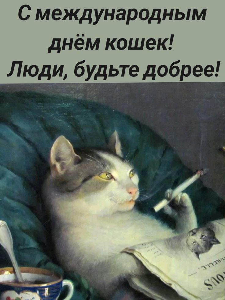 С международным днём кошек! Люди, будьте добрее!