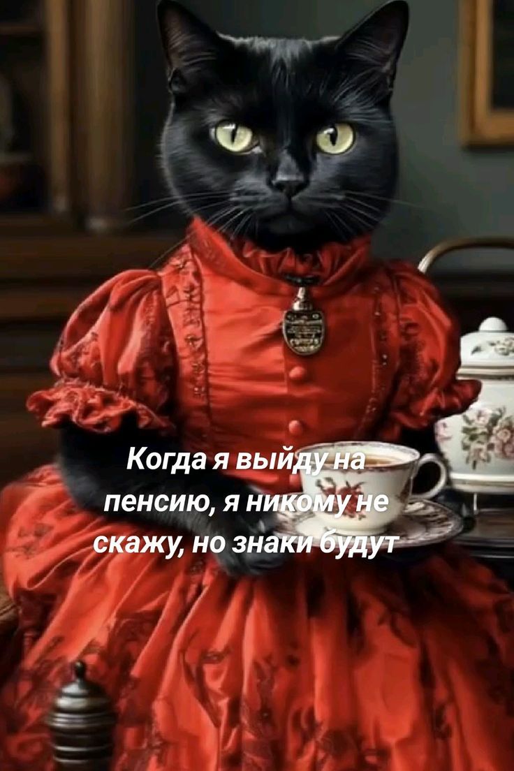 Когда я выйду на пенсию, я никому не скажу, но знаки будут