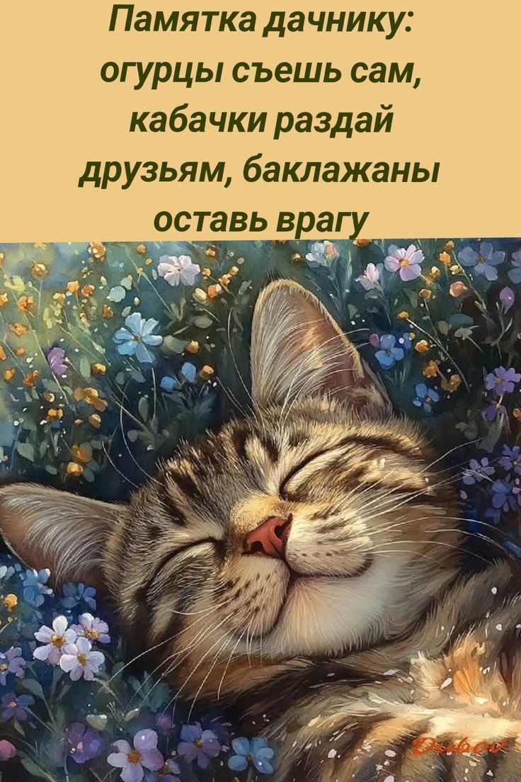 Памятка дачнику: огурцы съешь сам, кабачки раздай друзьям, баклажаны оставь врагу