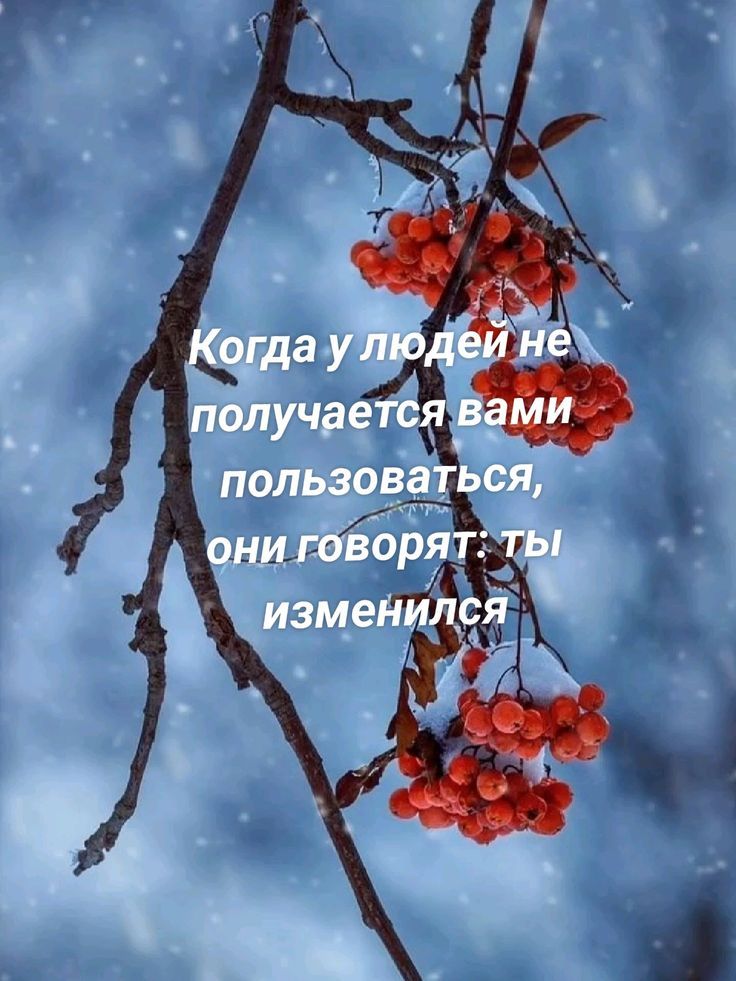 Когда у людей не получается вами пользоваться, они говорят: ты изменился