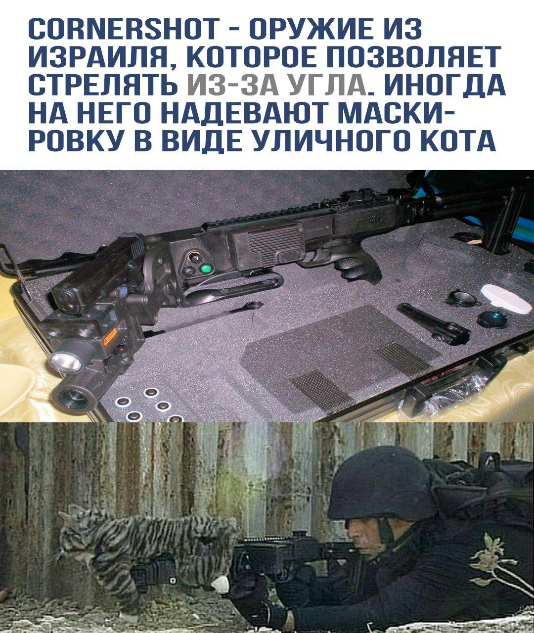 CORNERSHOT - ОРУЖИЕ ИЗ ИЗРАИЛЯ, КОТОРОЕ ПОЗВОЛЯЕТ СТРЕЛЯТЬ ИЗ-ЗА УГЛА. ИНОГДА НА НОГО НАДЕВАЮТ МАСКИ-РОВКУ В ВИДЕ УЛИЧНОГО КОТА.