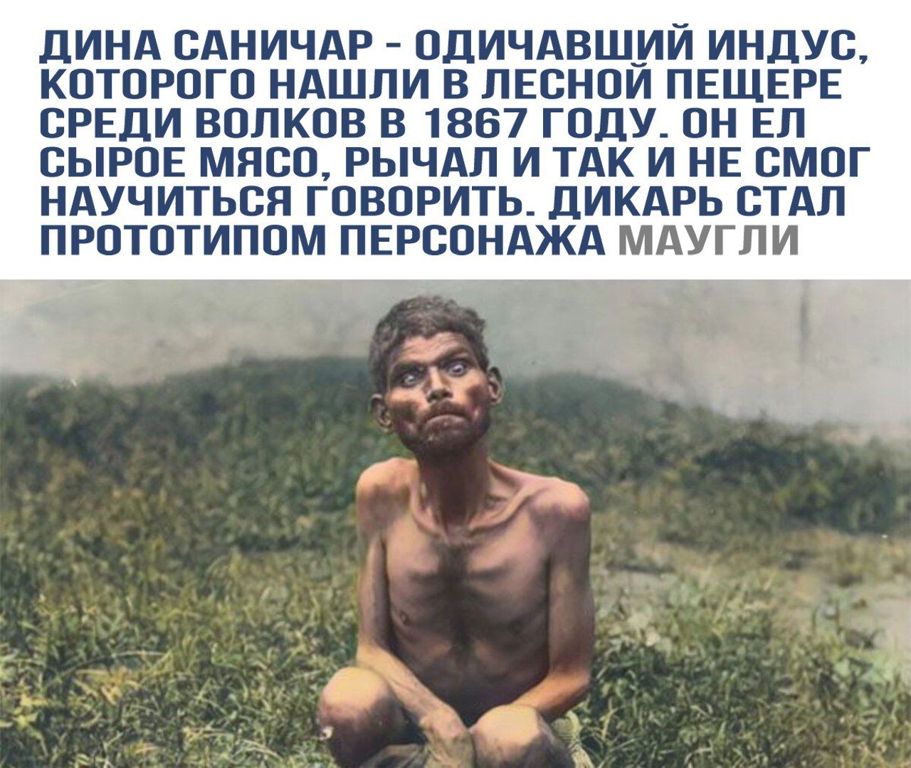 ДИНА САНИЧАР - ОДИЧАВШИЙ ИНДУС, КОТОРОГО НАШЛИ В ЛЕСНОЙ ПЕЩЕРЕ СРЕДИ ВОЛКОВ В 1867 ГОДУ. ОН ЕЛ СЫРОЕ МЯСО, РЫЧАЛ И ТАК И НЕ СМОГ НАУЧИТЬСЯ ГОВОРИТЬ. ДИКАРЬ СТАЛ ПРОTOTИПОМ ПЕРСОНАЖА МАУГЛИ.