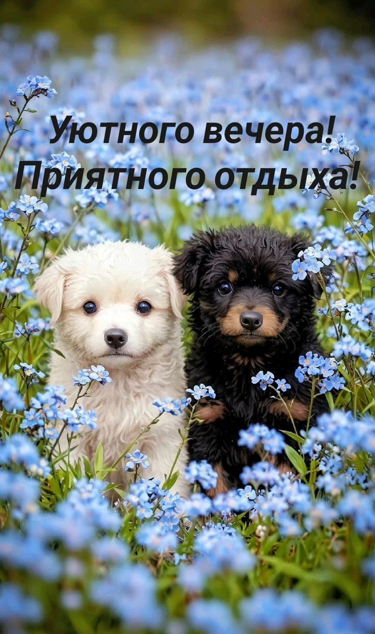 Уютного вечера! Приятного отдыха!
