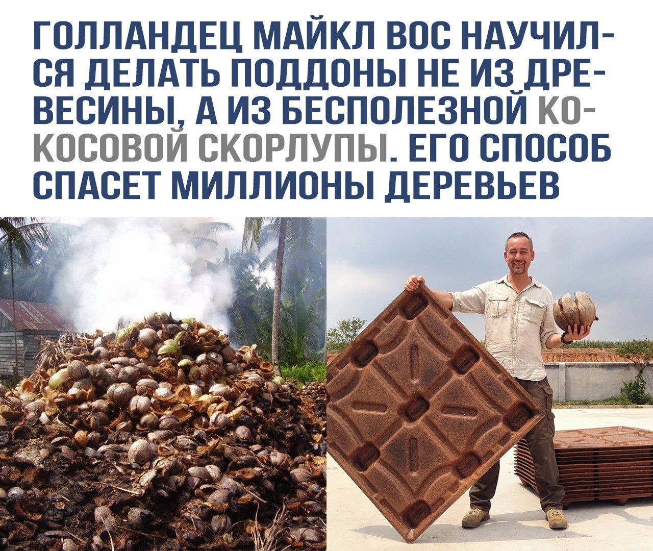 Голландец Майкл Вос научился делать поддоны не из древесины, а из бесполезной кокосовой скорлупы. Его способ спасет миллионы деревьев.
