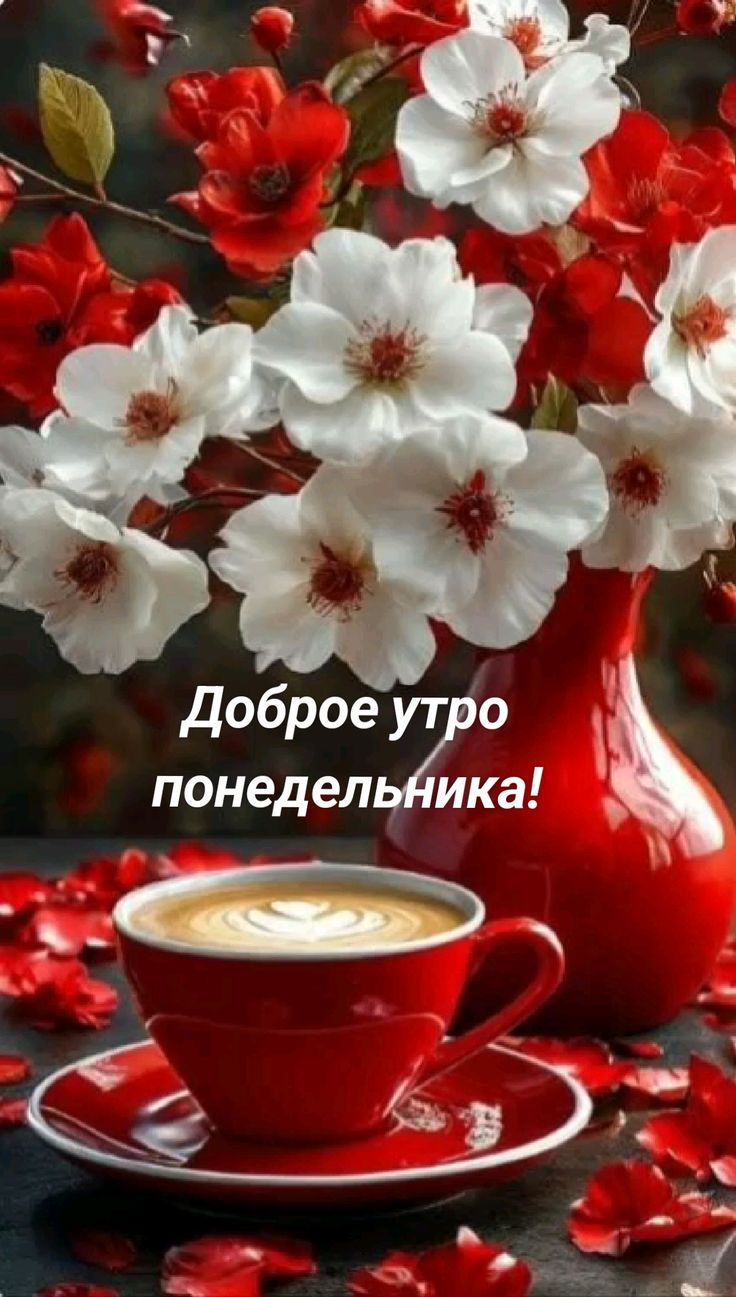 Доброе утро понедельника!
