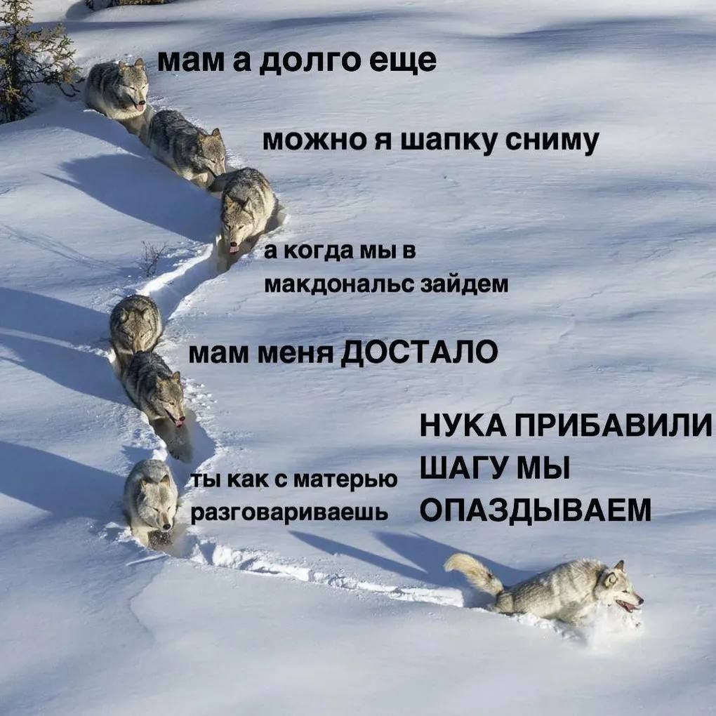 мам а долго еще
можно я шапку сниму
а когда мы в макдональдс зайдем
мам меня ДOSTALО
НУКА ПРИБАВИЛИ
ШАГУ МЫ ОПАЗДЫВАЕМ
ты как с матерью
разговариваешь