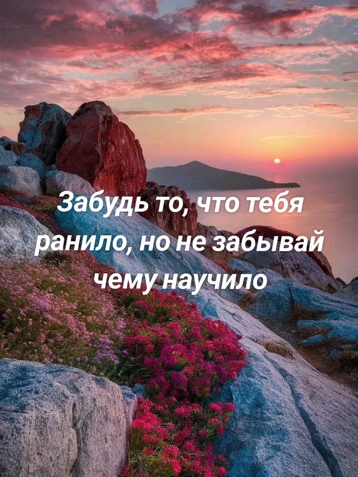 Забудь то, что тебя ранило, но не забывай чему научило
