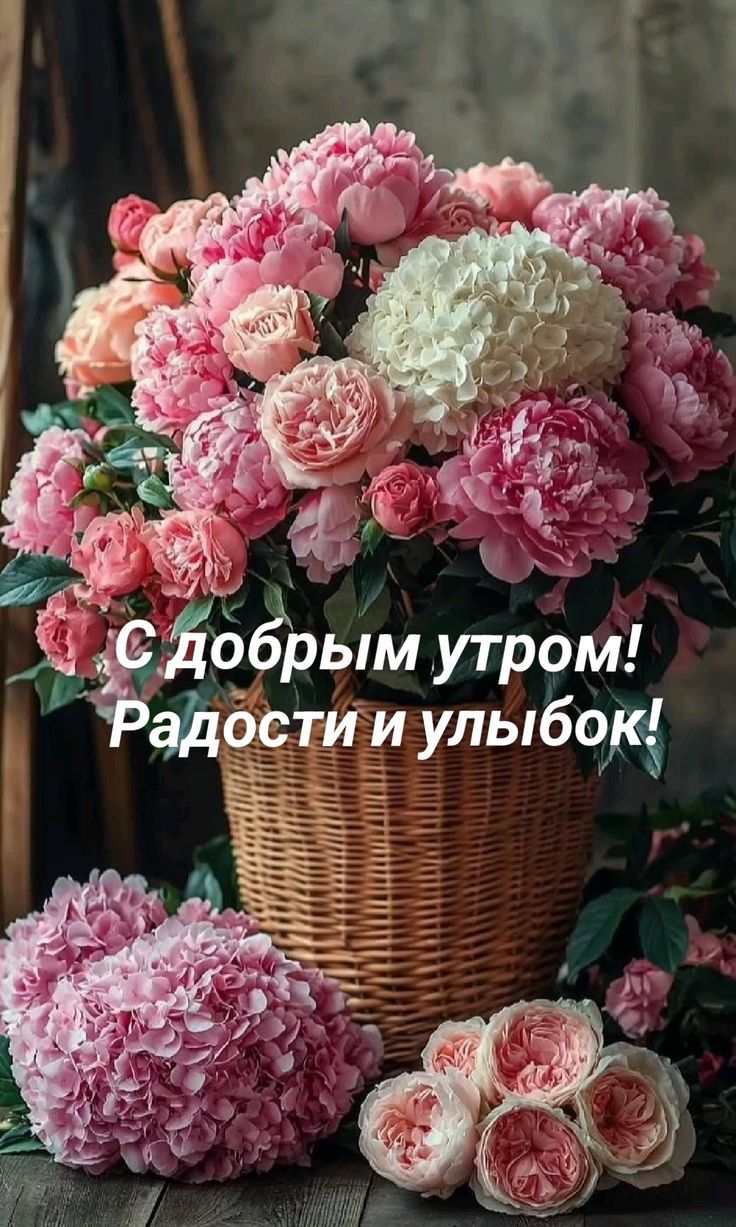 С добрым утром! Радости и улыбок!