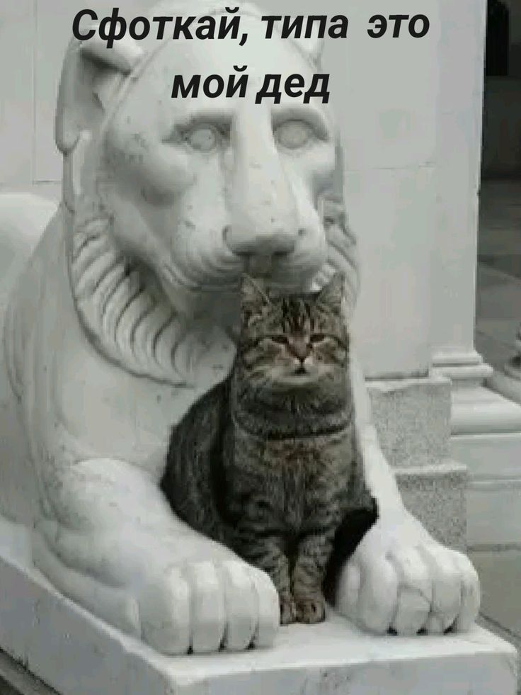 Сфоткай, типа это мой дед