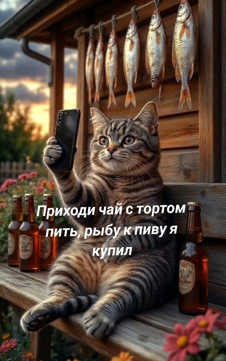 Приходи чай с тортом пить, рыбу к пиву я купил