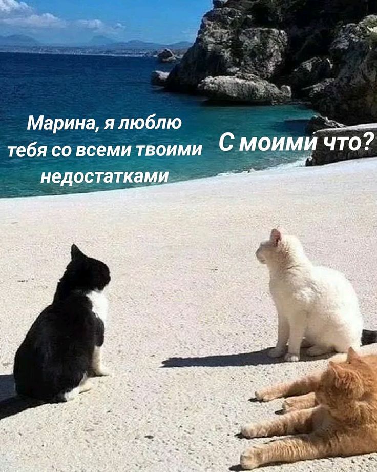 Марина, я люблю тебя со всеми твоими недостатками С моими что?