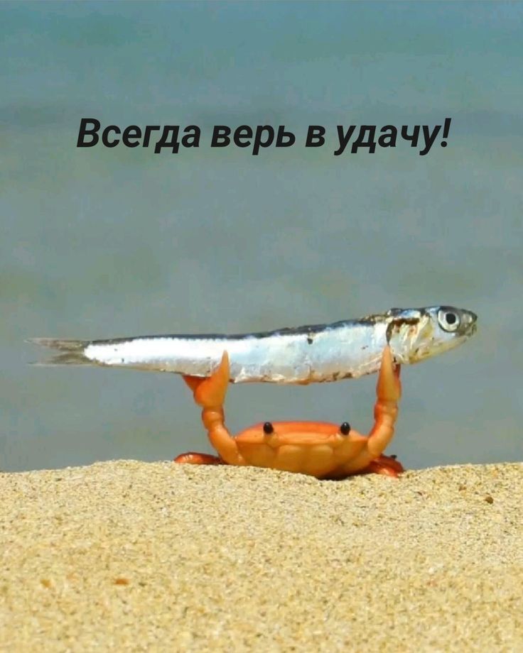 Всегда верь в удачу!