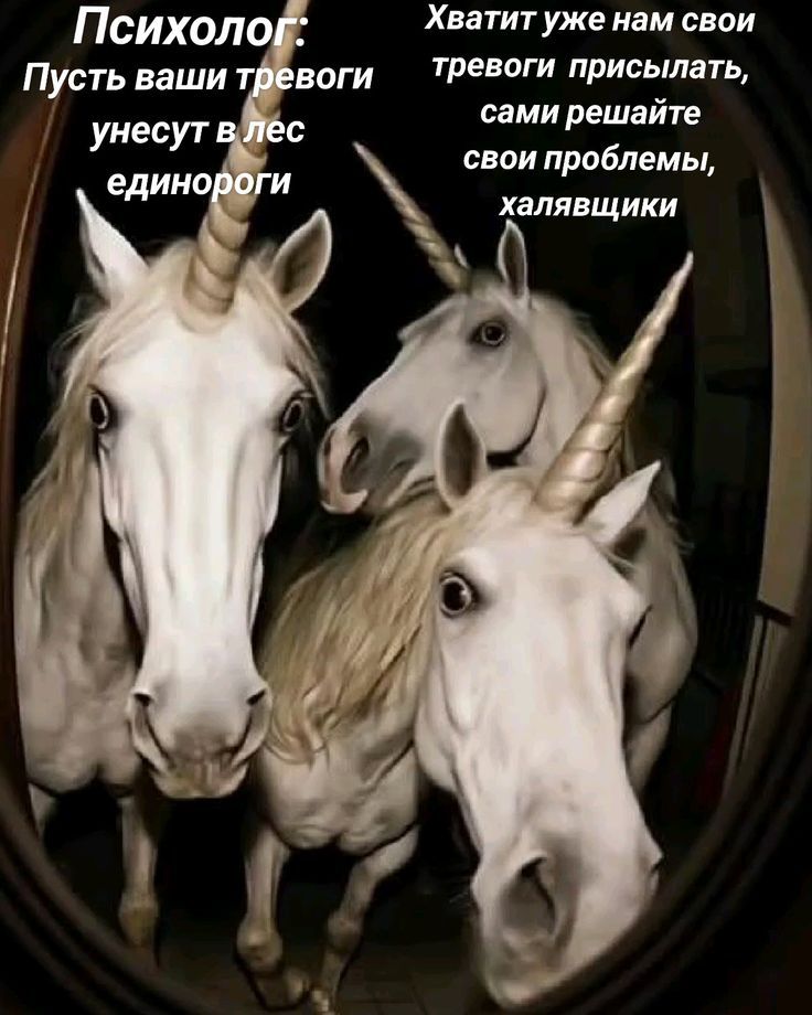 Психолог: Пусть ваши тревоги унесут в лес единороги
Хватит уже нам свои тревоги присылать, сами решайте свои проблемы, халявщики
