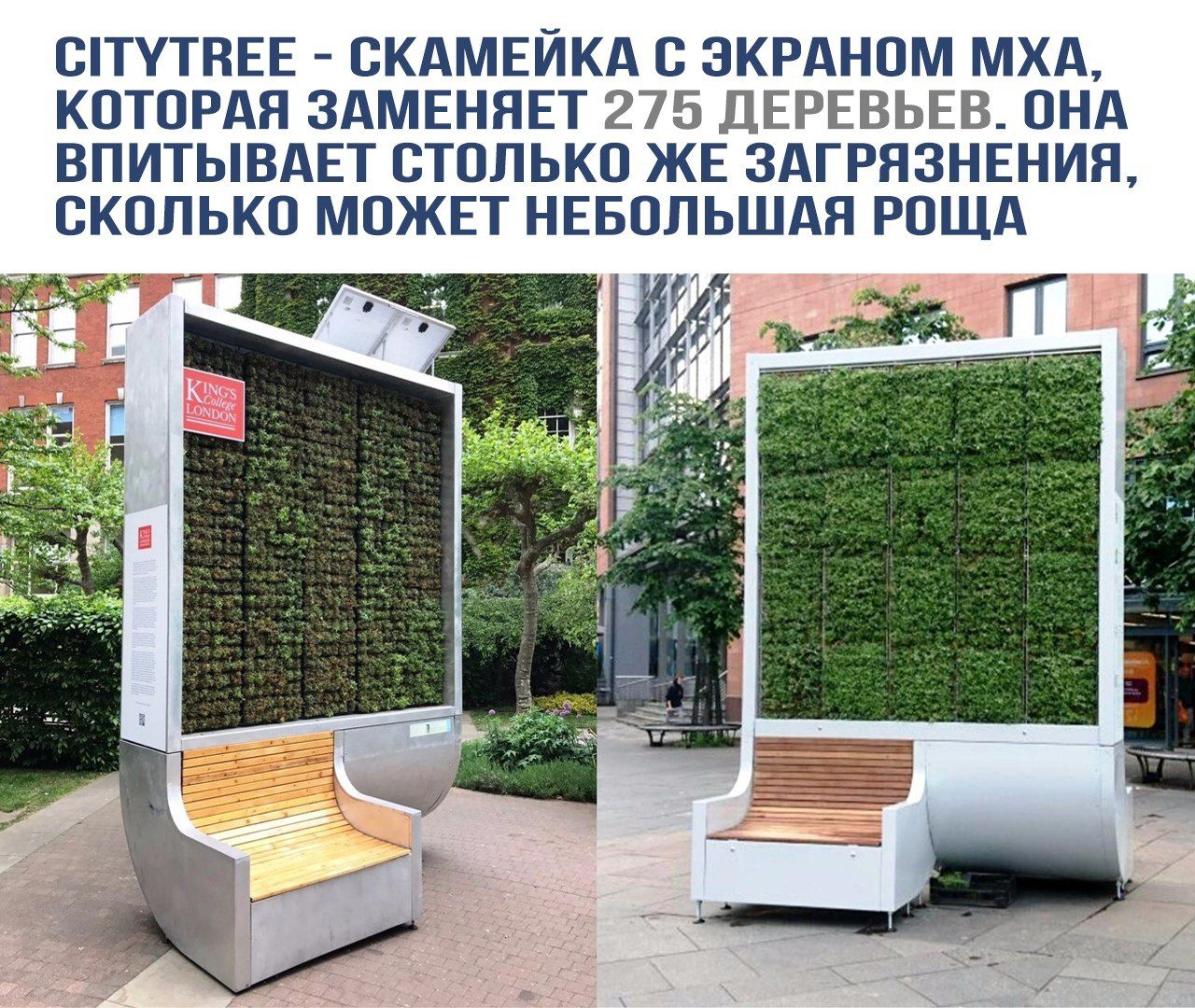 CITYTREE - СКАМЕЙКА С ЭКРАНОМ МХА, КОТОРАЯ ЗАМЕНЯЕТ 275 ДЕРЕВЬЕВ. ОНА ВПИТЫВАЕТ СТОЛЬКО ЖЕ ЗАГРЯЗНЕНИЯ, СКОЛЬКО МОЖЕТ НЕБОЛЬШАЯ РОЩА