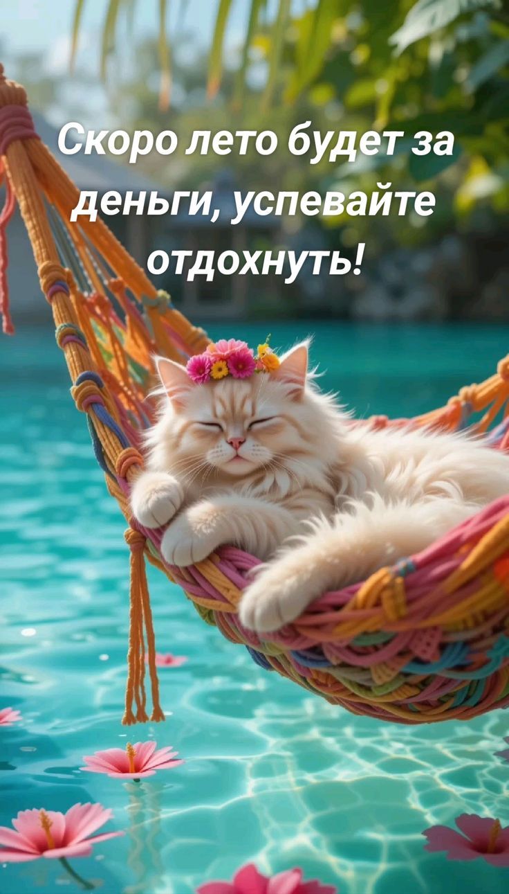 Скоро лето будет за деньги, успевайте отдохнуть!