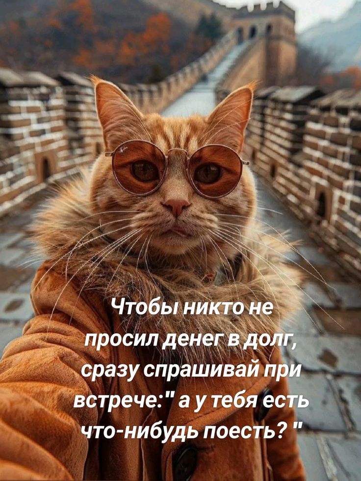 Чтобы никто не просил денег в долг, сразу спрашивай при встрече: 