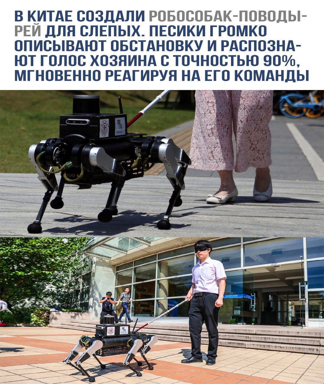 В Китае создали робособак-поводыри для слепых. Песики громко описывают обстановку и распознают голос хозяина с точностью 90%, мгновенно реагируя на его команды.